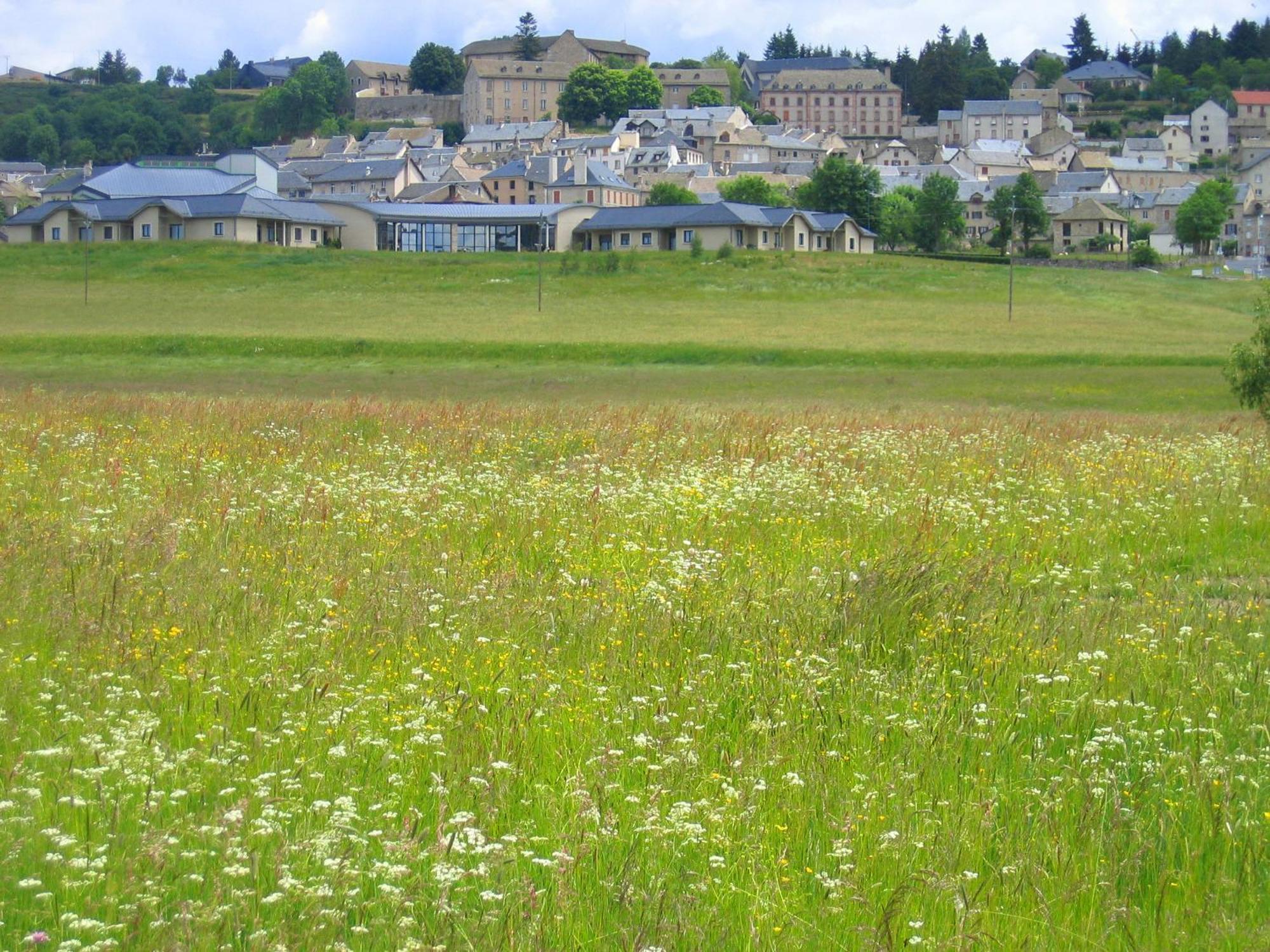 Lozere Aubrac Margeride Promo Apartment Saint-Alban-sur-Limagnole Exterior foto